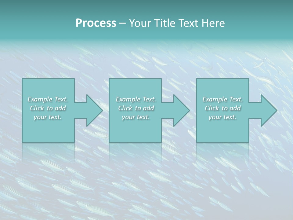 Reef Red Sea Scuba PowerPoint Template
