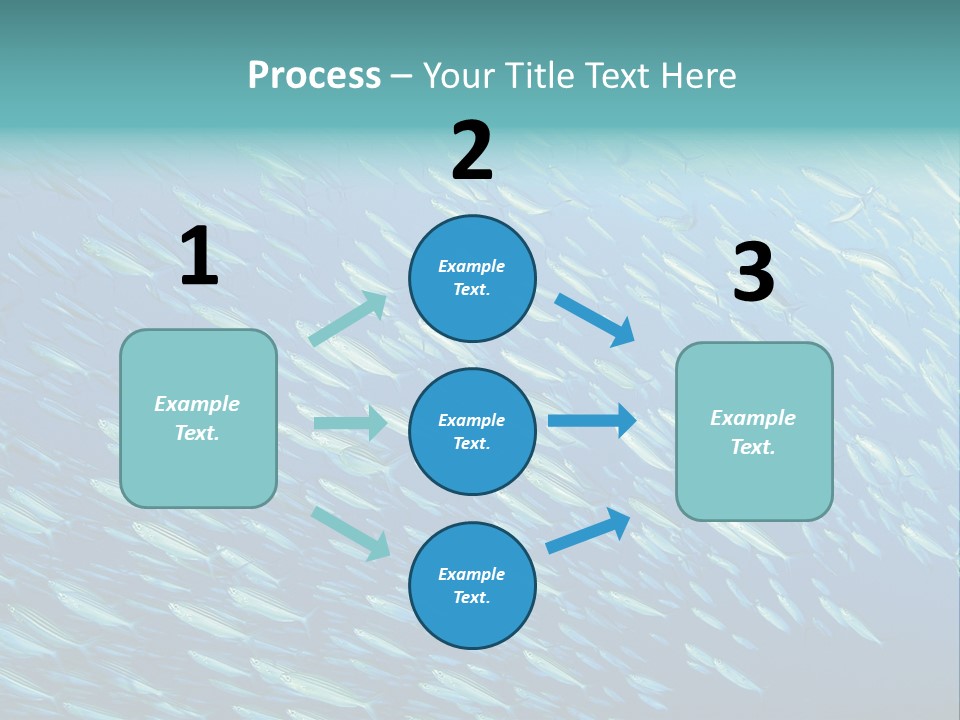Reef Red Sea Scuba PowerPoint Template