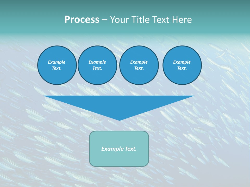 Reef Red Sea Scuba PowerPoint Template