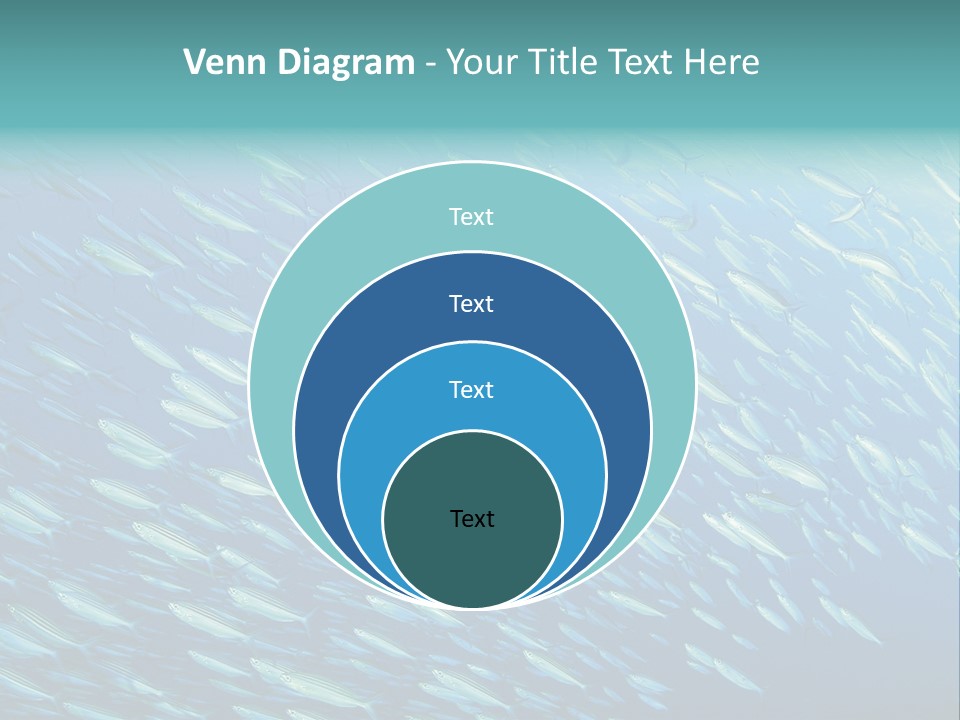 Reef Red Sea Scuba PowerPoint Template