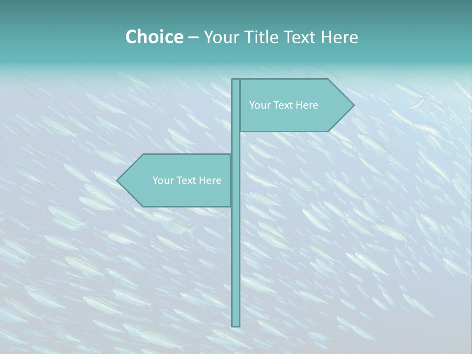 Reef Red Sea Scuba PowerPoint Template