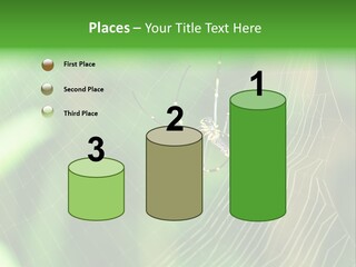Nature Garden Tree PowerPoint Template