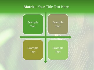 Nature Garden Tree PowerPoint Template