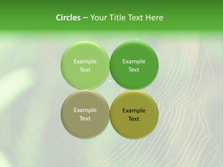 Nature Garden Tree PowerPoint Template