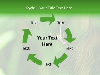 Nature Garden Tree PowerPoint Template
