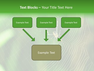 Nature Garden Tree PowerPoint Template