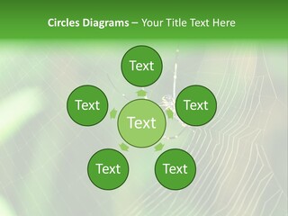 Nature Garden Tree PowerPoint Template