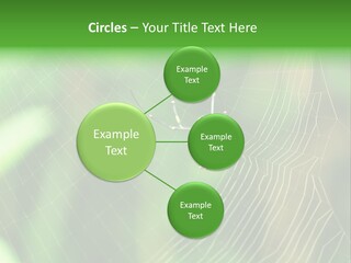 Nature Garden Tree PowerPoint Template