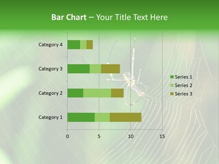 Nature Garden Tree PowerPoint Template