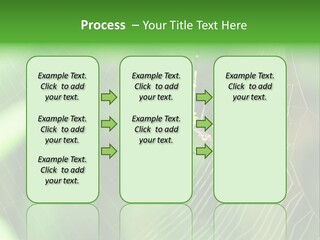 Nature Garden Tree PowerPoint Template