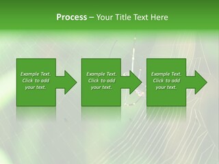 Nature Garden Tree PowerPoint Template