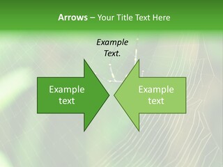 Nature Garden Tree PowerPoint Template