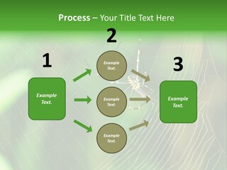 Nature Garden Tree PowerPoint Template