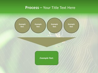 Nature Garden Tree PowerPoint Template