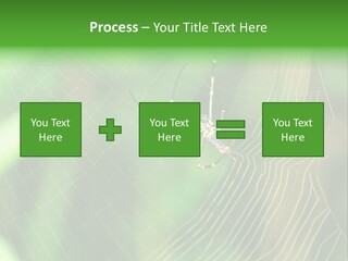 Nature Garden Tree PowerPoint Template
