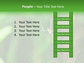 Nature Garden Tree PowerPoint Template