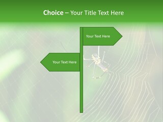 Nature Garden Tree PowerPoint Template