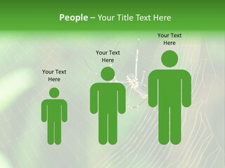 Nature Garden Tree PowerPoint Template