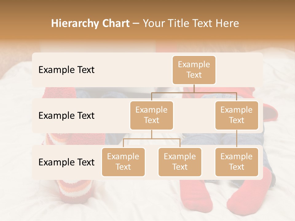 Female Personal Computer PowerPoint Template