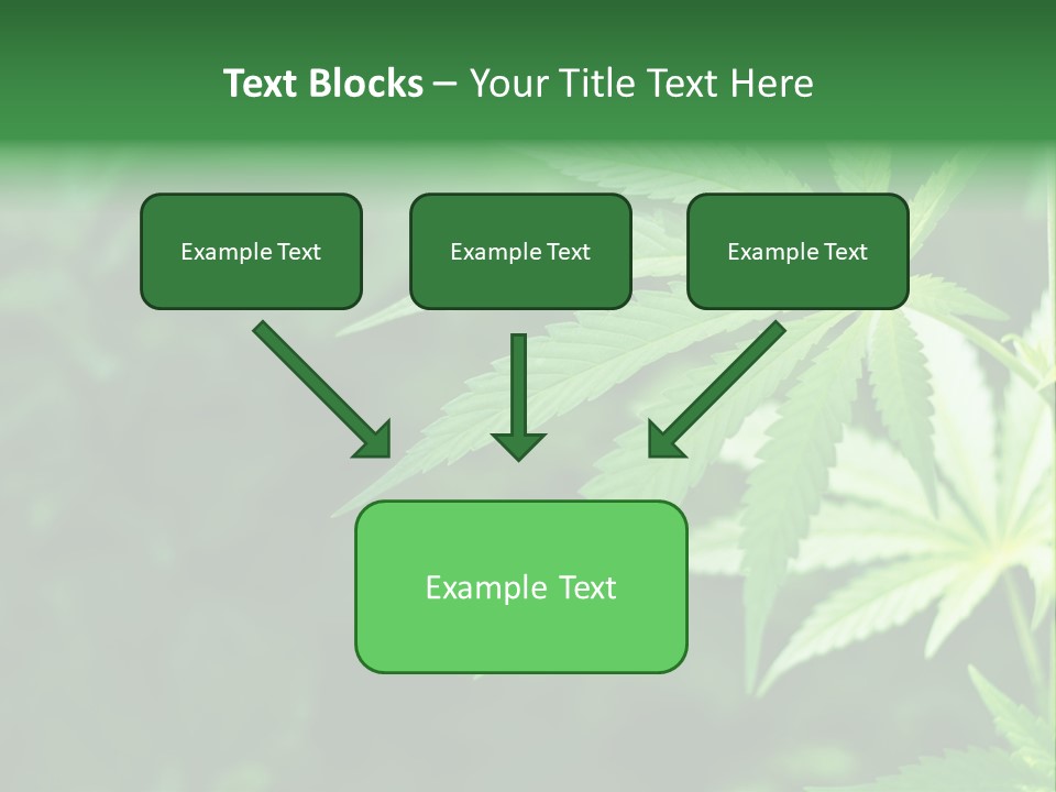 Natural Culture Habit PowerPoint Template