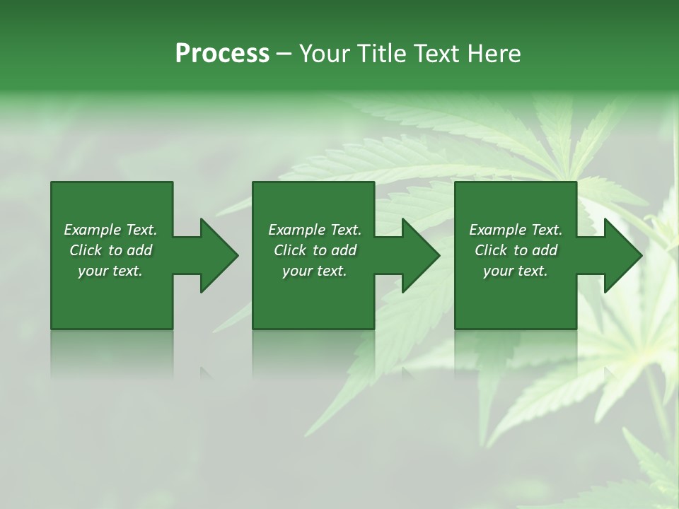 Natural Culture Habit PowerPoint Template