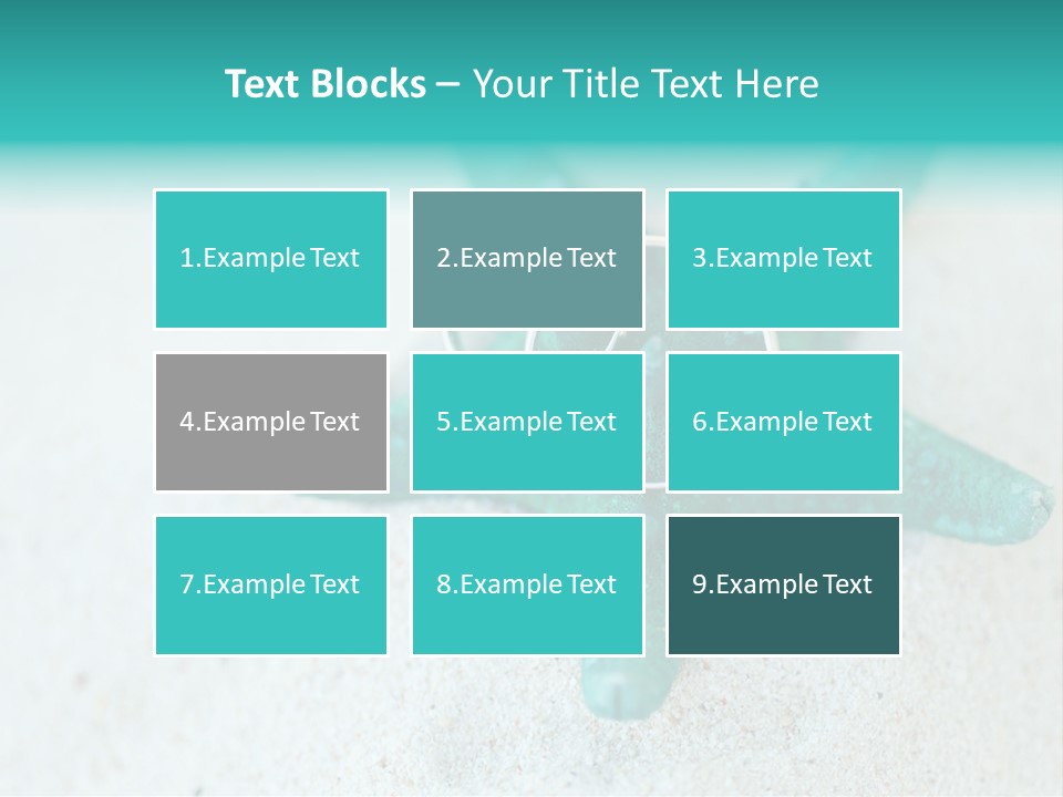 A Starfish With A Ring On It Is On The Sand PowerPoint Template