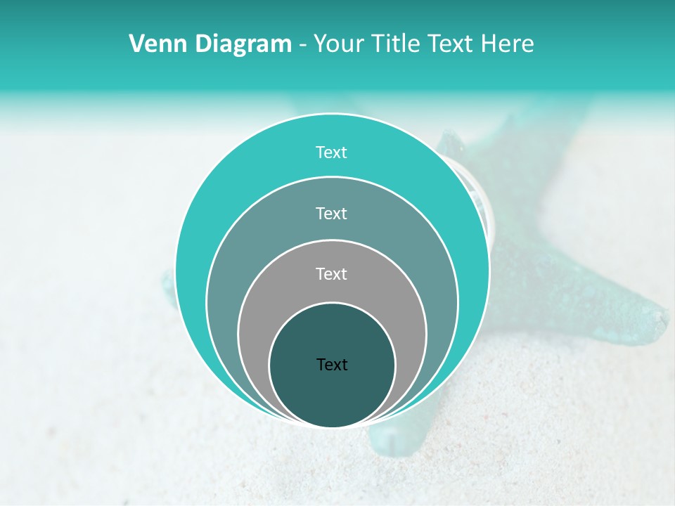 A Starfish With A Ring On It Is On The Sand PowerPoint Template