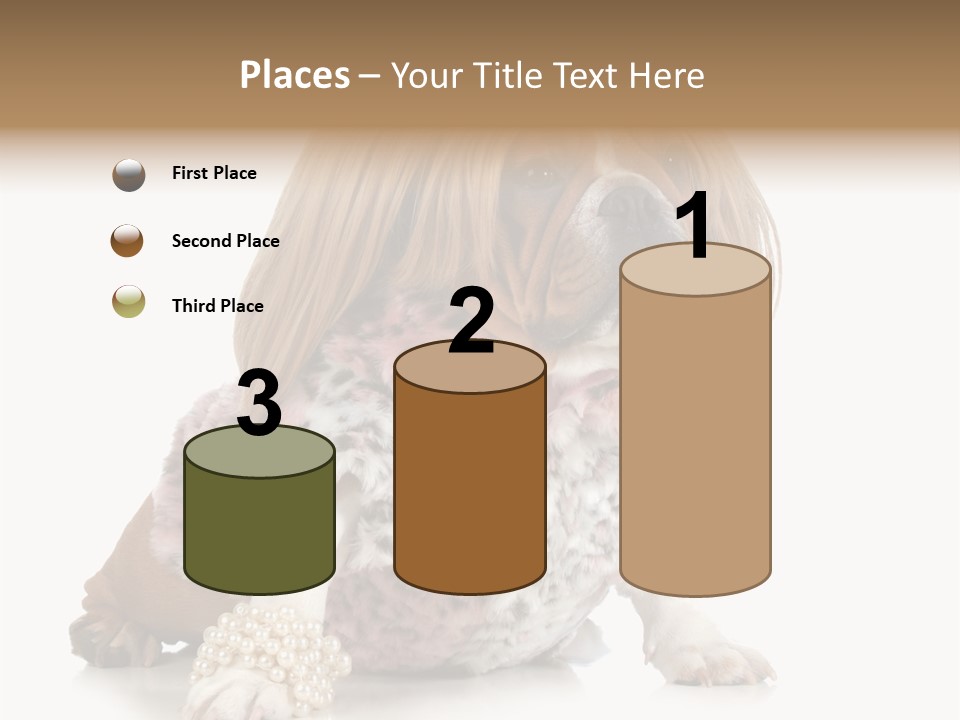 Wrinkle Domestic Wrinkled PowerPoint Template