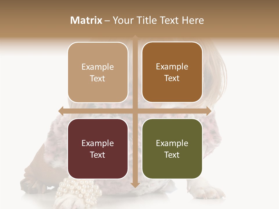 Wrinkle Domestic Wrinkled PowerPoint Template