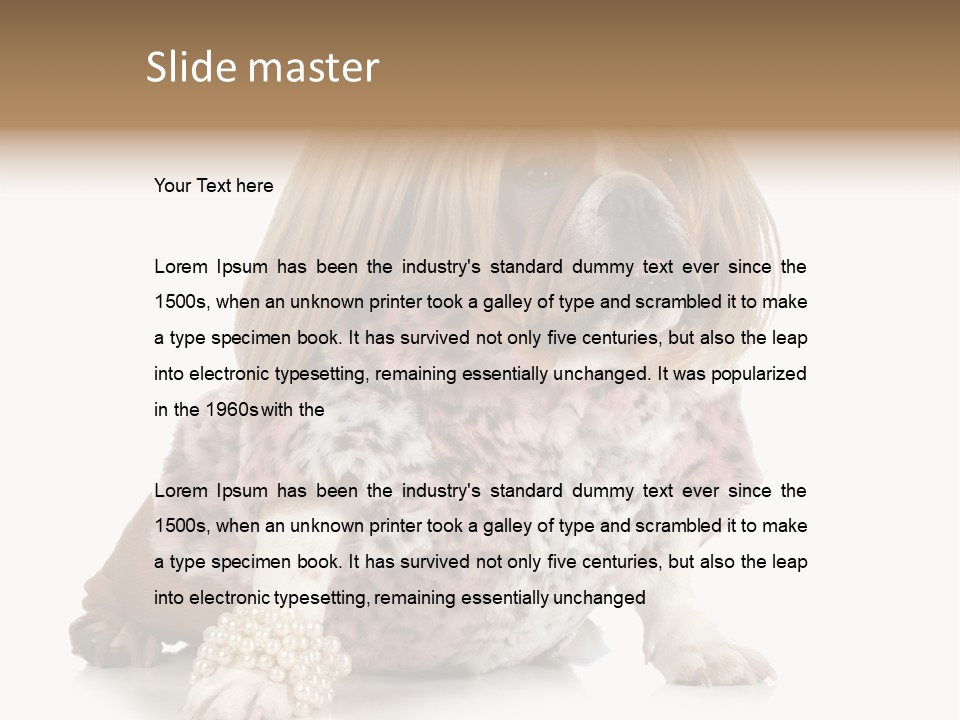 Wrinkle Domestic Wrinkled PowerPoint Template
