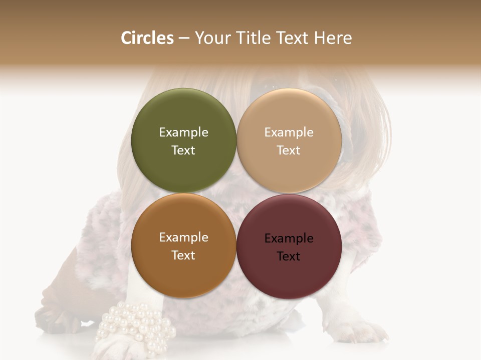 Wrinkle Domestic Wrinkled PowerPoint Template