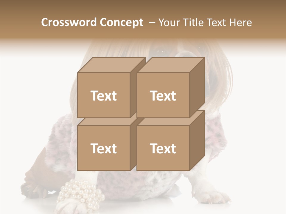 Wrinkle Domestic Wrinkled PowerPoint Template