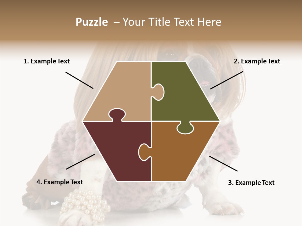 Wrinkle Domestic Wrinkled PowerPoint Template