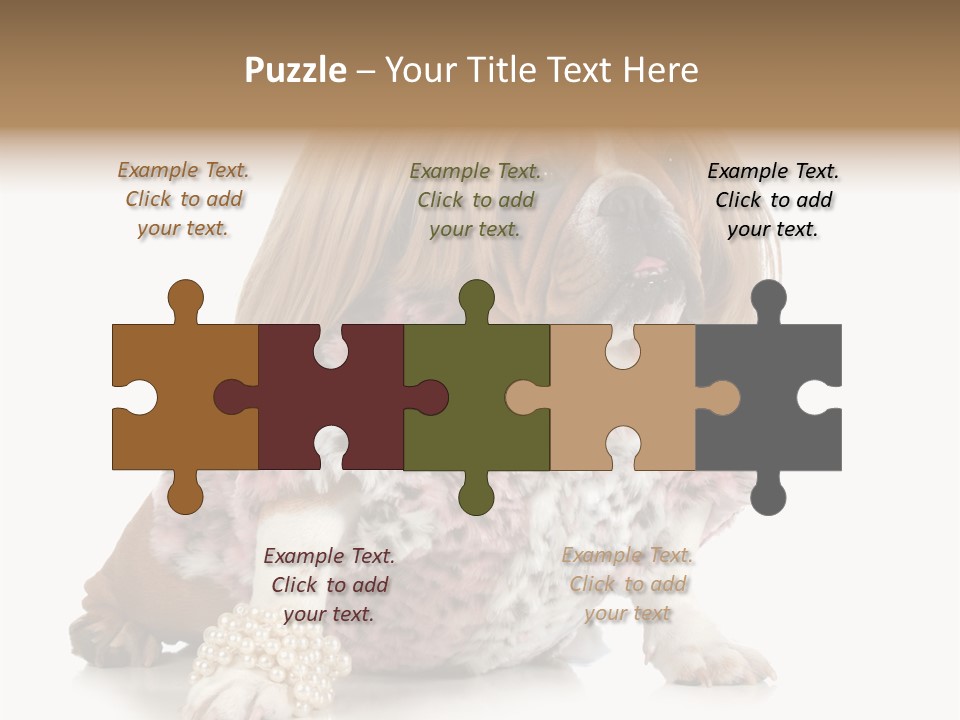 Wrinkle Domestic Wrinkled PowerPoint Template