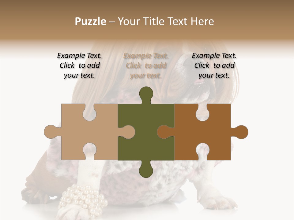 Wrinkle Domestic Wrinkled PowerPoint Template