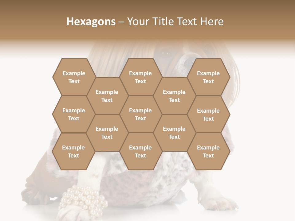 Wrinkle Domestic Wrinkled PowerPoint Template