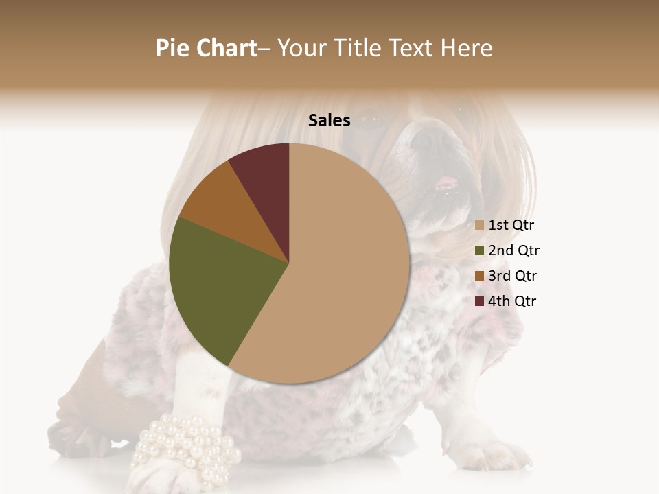 Wrinkle Domestic Wrinkled PowerPoint Template