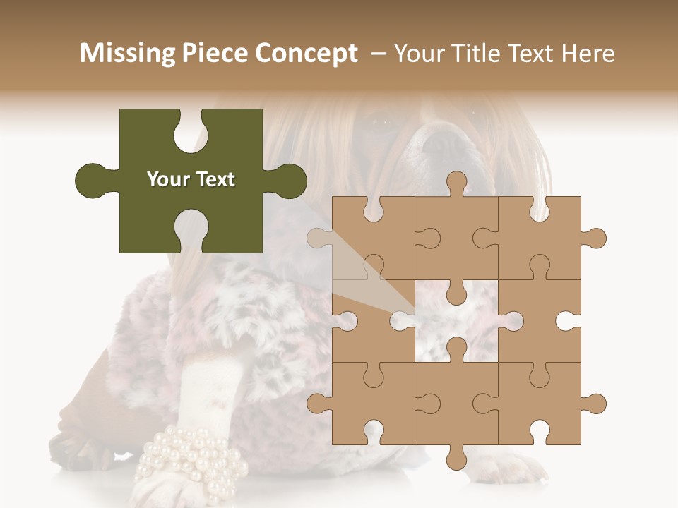 Wrinkle Domestic Wrinkled PowerPoint Template