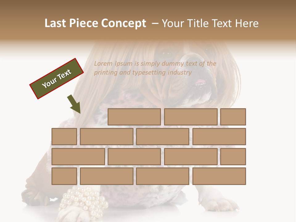 Wrinkle Domestic Wrinkled PowerPoint Template