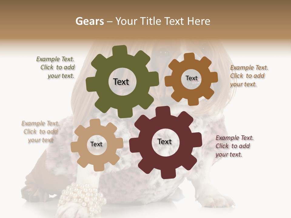 Wrinkle Domestic Wrinkled PowerPoint Template