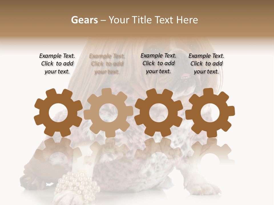 Wrinkle Domestic Wrinkled PowerPoint Template