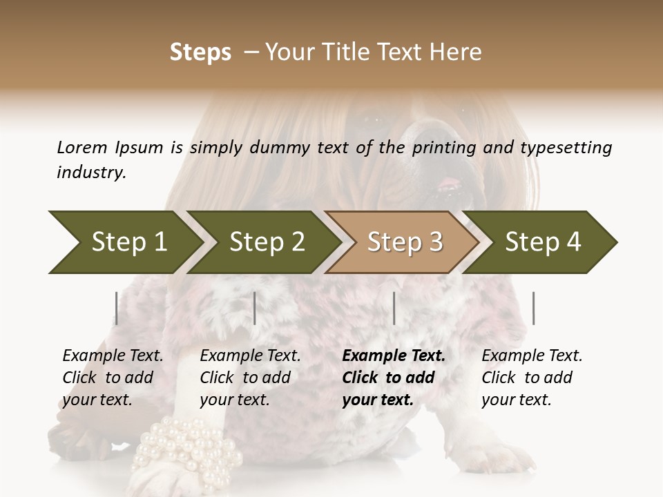 Wrinkle Domestic Wrinkled PowerPoint Template