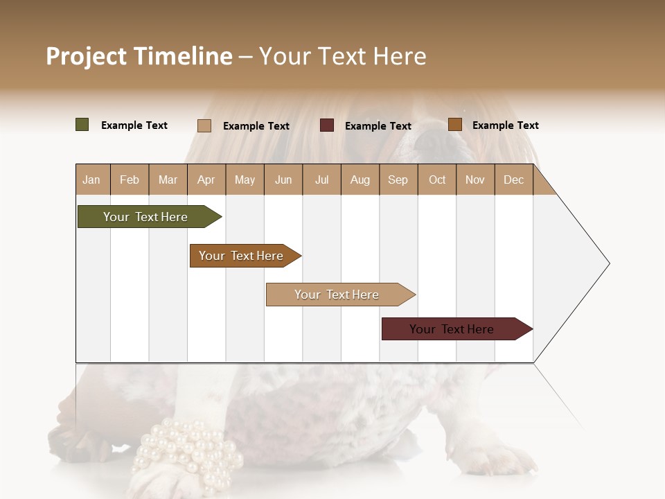Wrinkle Domestic Wrinkled PowerPoint Template