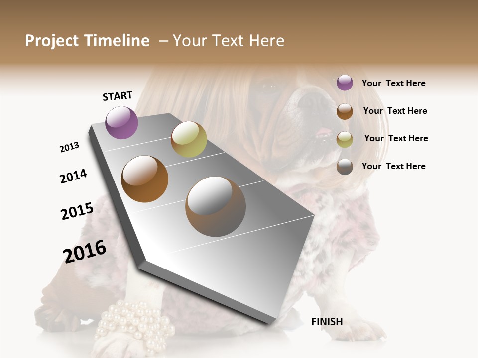 Wrinkle Domestic Wrinkled PowerPoint Template