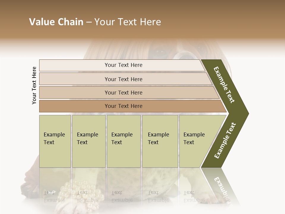 Wrinkle Domestic Wrinkled PowerPoint Template