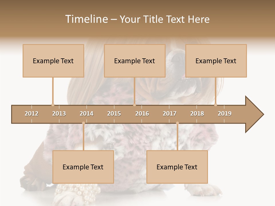 Wrinkle Domestic Wrinkled PowerPoint Template