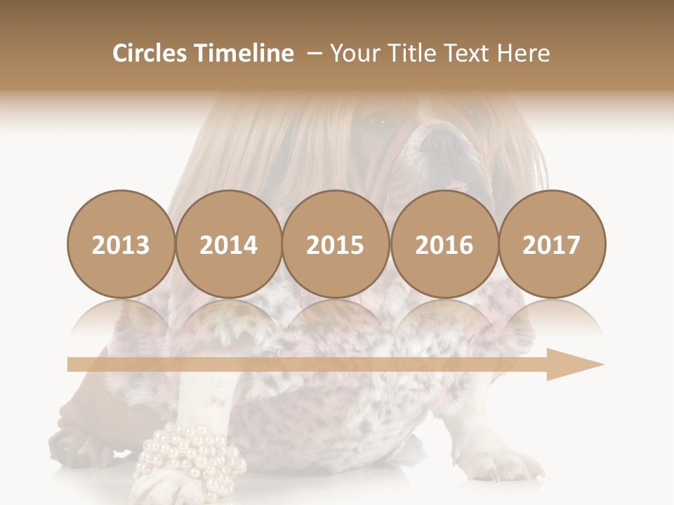 Wrinkle Domestic Wrinkled PowerPoint Template