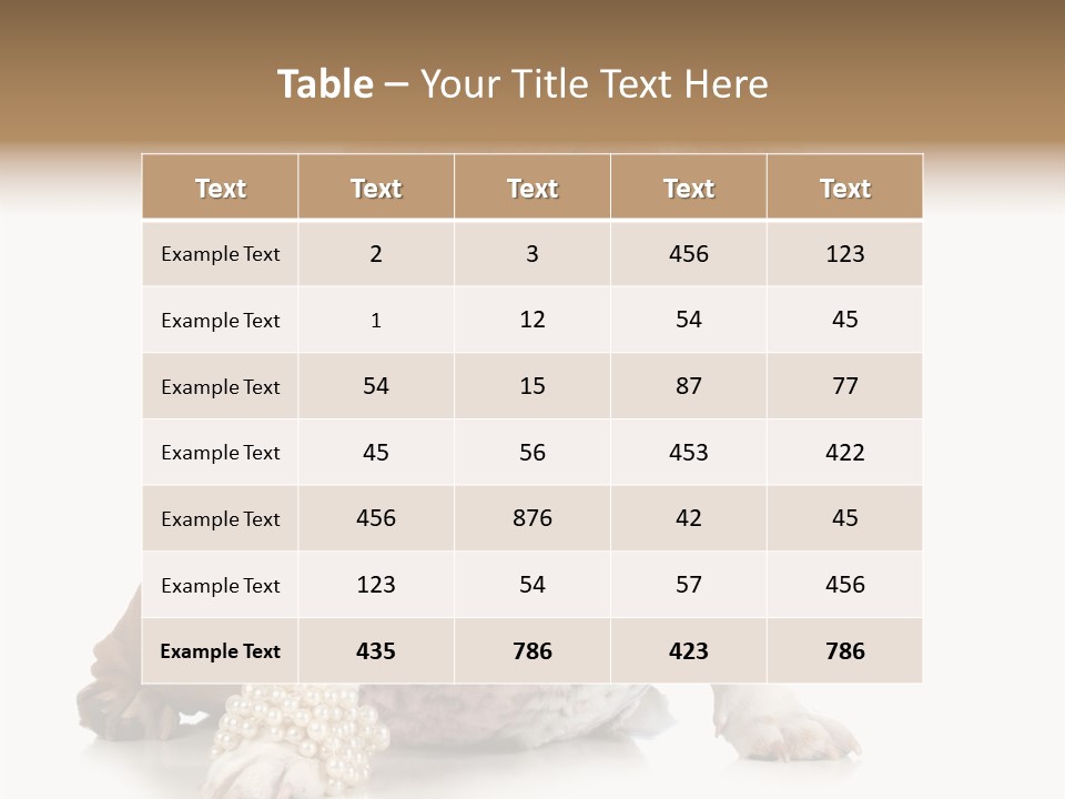 Wrinkle Domestic Wrinkled PowerPoint Template