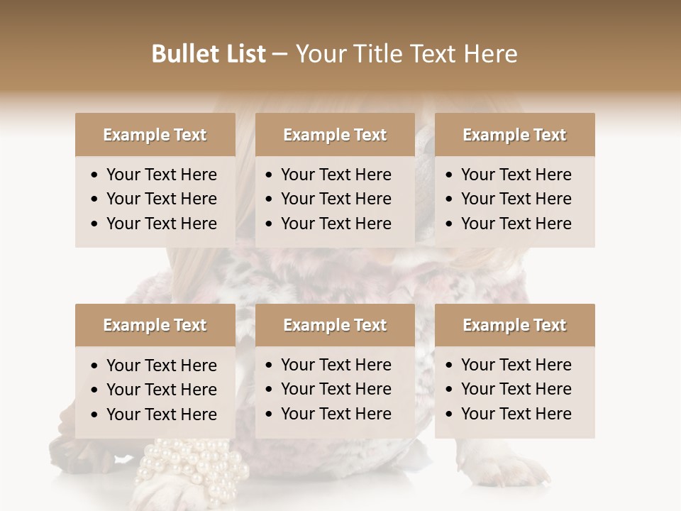 Wrinkle Domestic Wrinkled PowerPoint Template