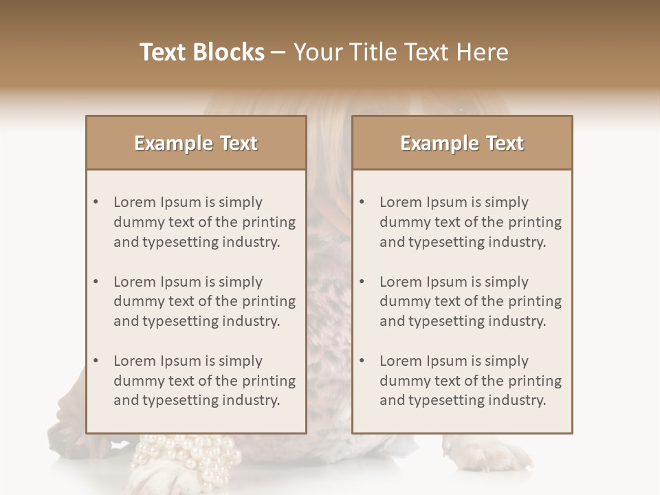 Wrinkle Domestic Wrinkled PowerPoint Template